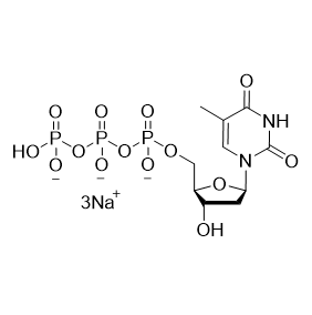 dTTP