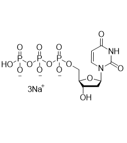 dUTP