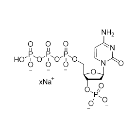 TM-3’-P-dCTP