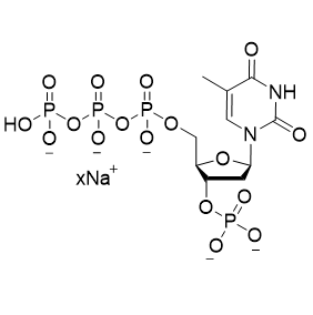 TM-3’-P-dTTP