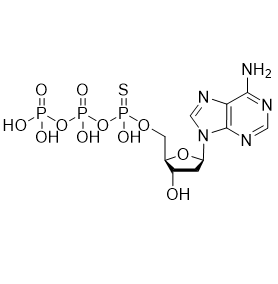 TM-dATP-α-S