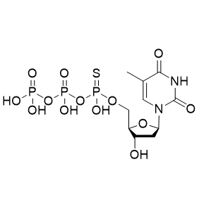 TM-dTTP-α-S