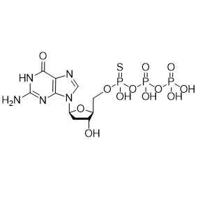 TM-L-dGTP-α-S