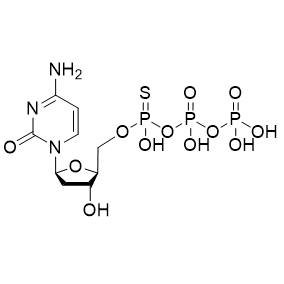 TM-L-dCTP-α-S